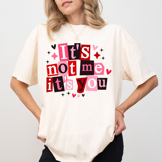 It’s Not Me It’s You T-Shirt, Funny Valentine Graphic Tee, Anti Valentine Shirt