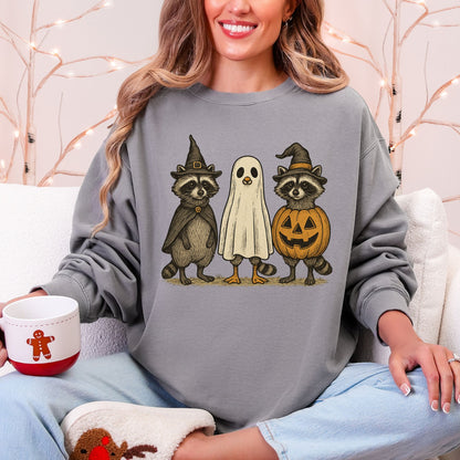 Raccoon Halloween Sweatshirt, Cute Ghost Pumpkin Pullover, Cozy Fall Crewneck
