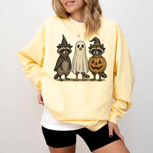 Raccoon Halloween Sweatshirt, Cute Ghost Pumpkin Pullover, Cozy Fall Crewneck